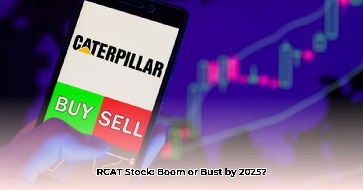 rcat-stock-forecast-2025